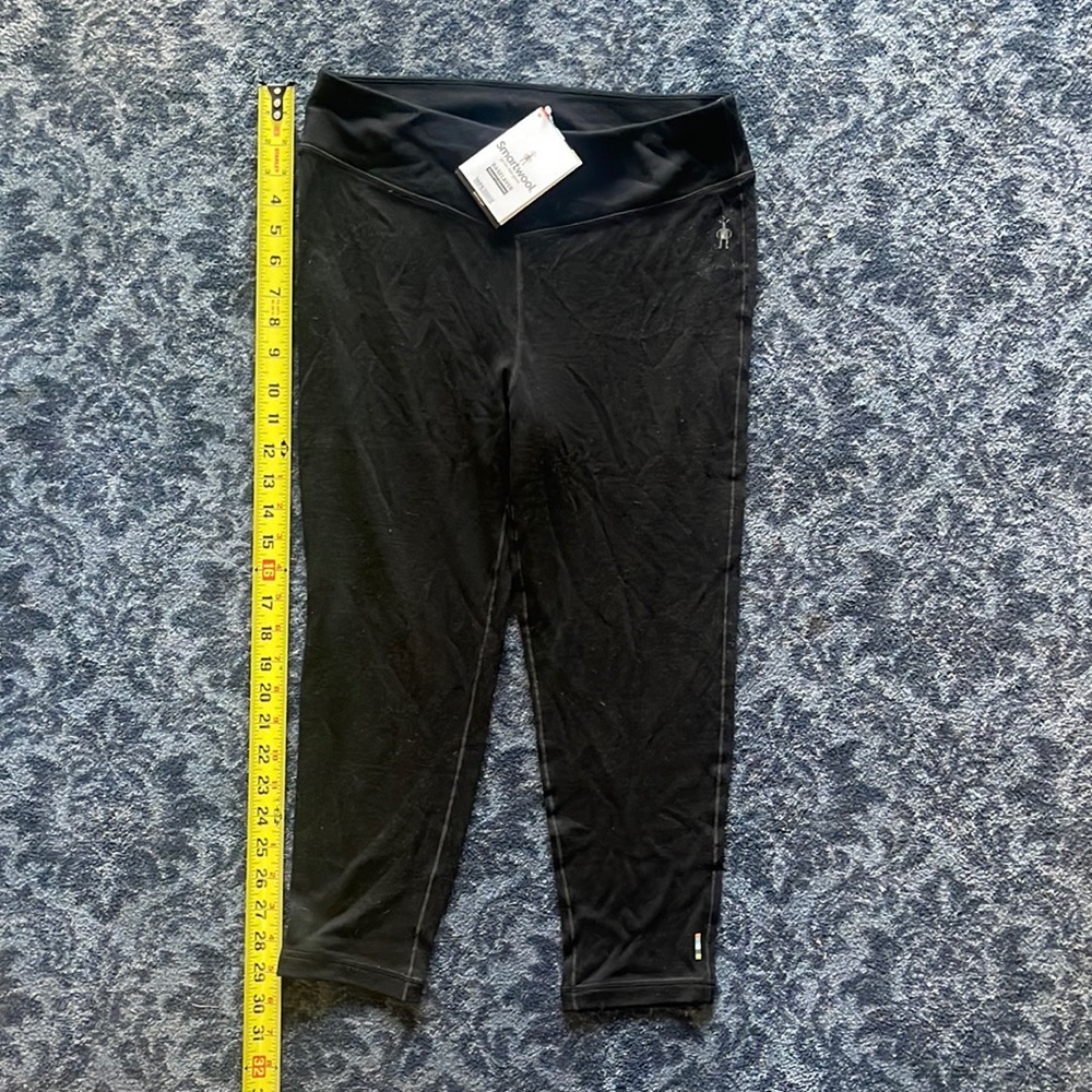 Smart wool merino 250 base layer pant